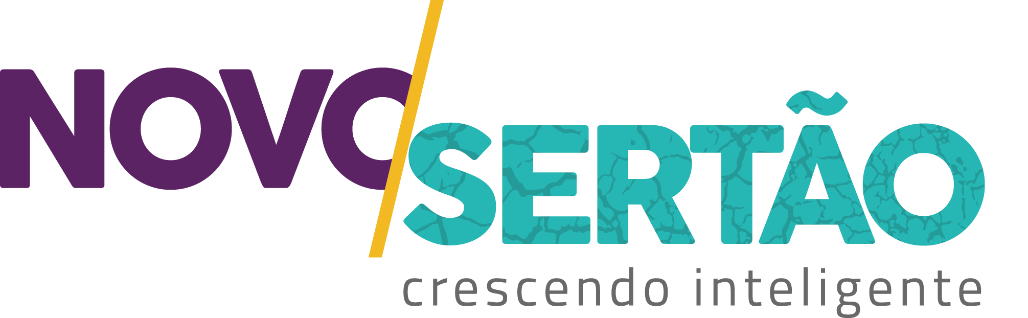 Novo Sertão, Logo